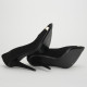 Giuseppe Zanotti
