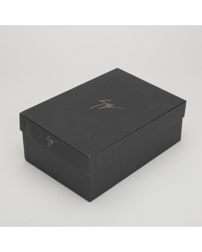 Giuseppe Zanotti