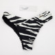 Stella McCartney dół od kostiumu zebra