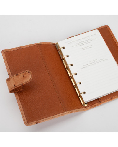Louis Vuitton agenda ze strusia