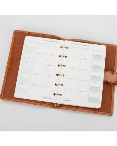 Louis Vuitton agenda ze strusia