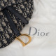 Dior Torba saddle bag